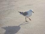 IMG_1691