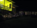 IMG_1848